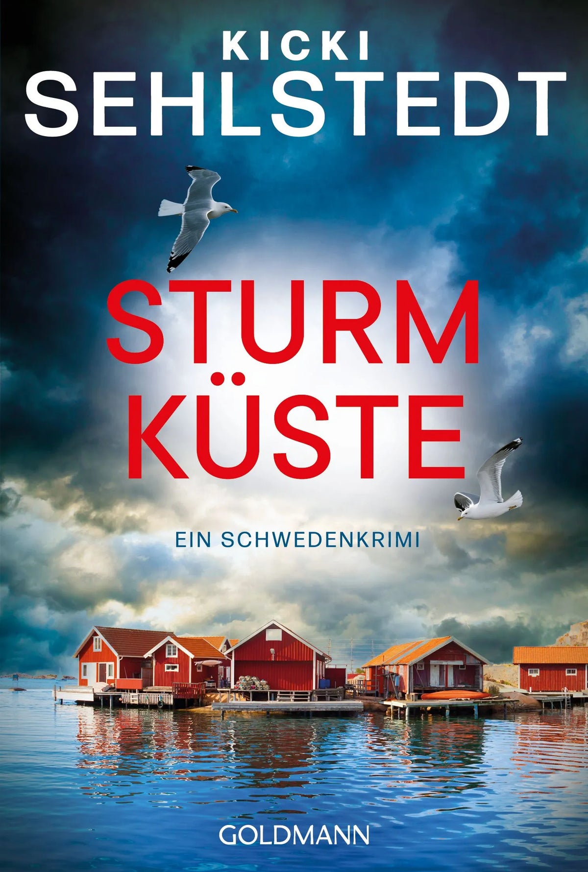 Cover: Sturmküste (Taschenbuch) von Kicki Sehlstedt