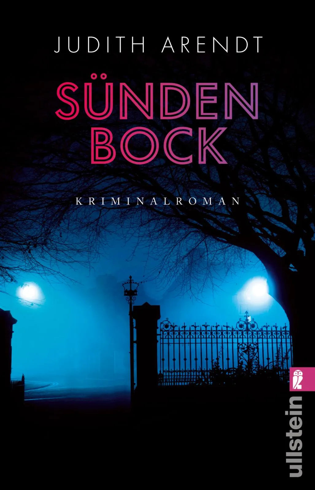 Produktansicht: Sündenbock (Taschenbuch)