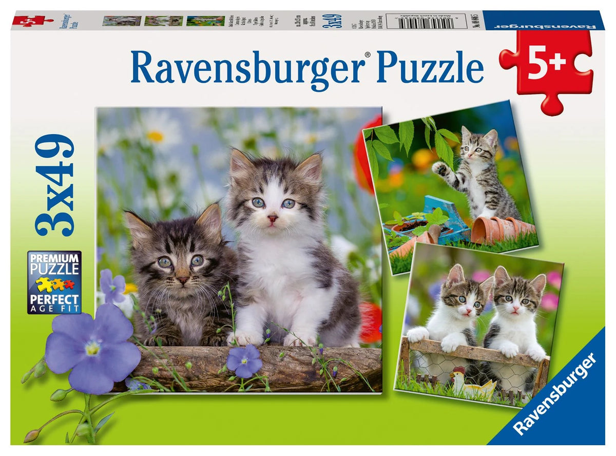 Kinderpuzzle: Kinderpuzzle 3x49 Teile - Süße Samtpfötchen