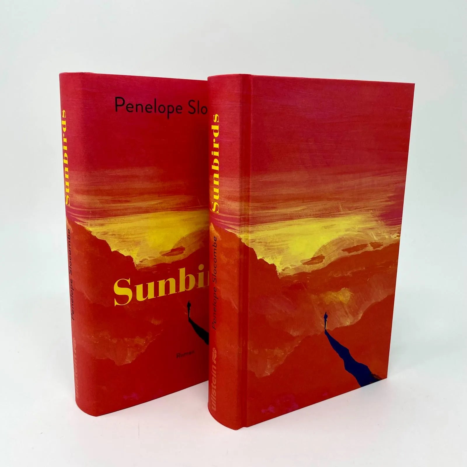 Detailansicht: Sunbirds (Hardcover)