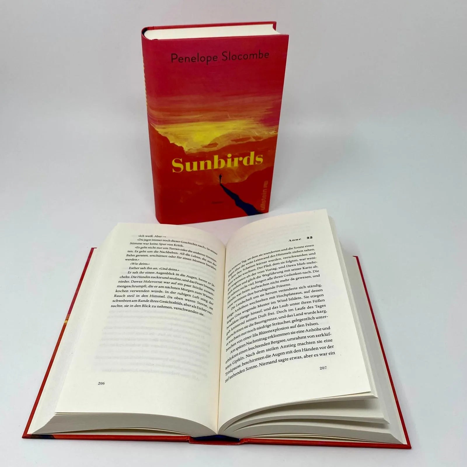 Detailansicht: Sunbirds (Hardcover)