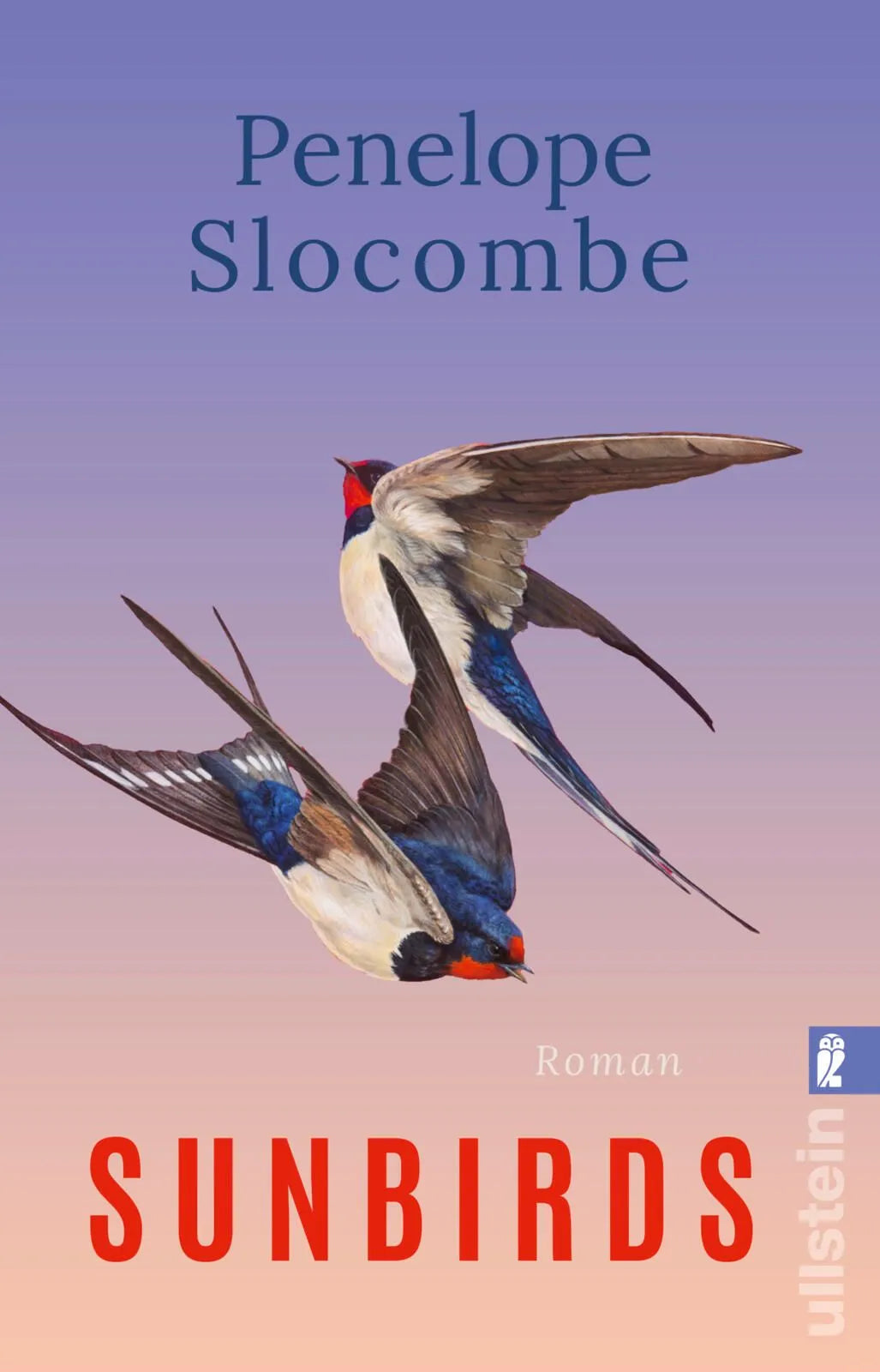 Cover: Sunbirds (Taschenbuch) von Penelope Slocombe