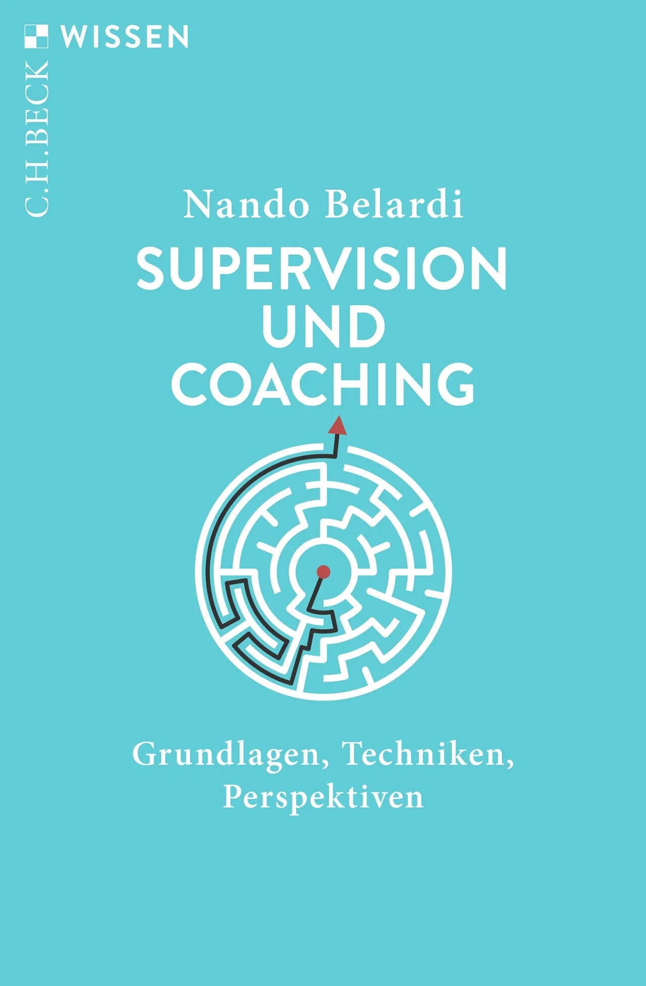 Buchcover von 'Supervision und Coaching' - Taschenbuch von Nando Belardi