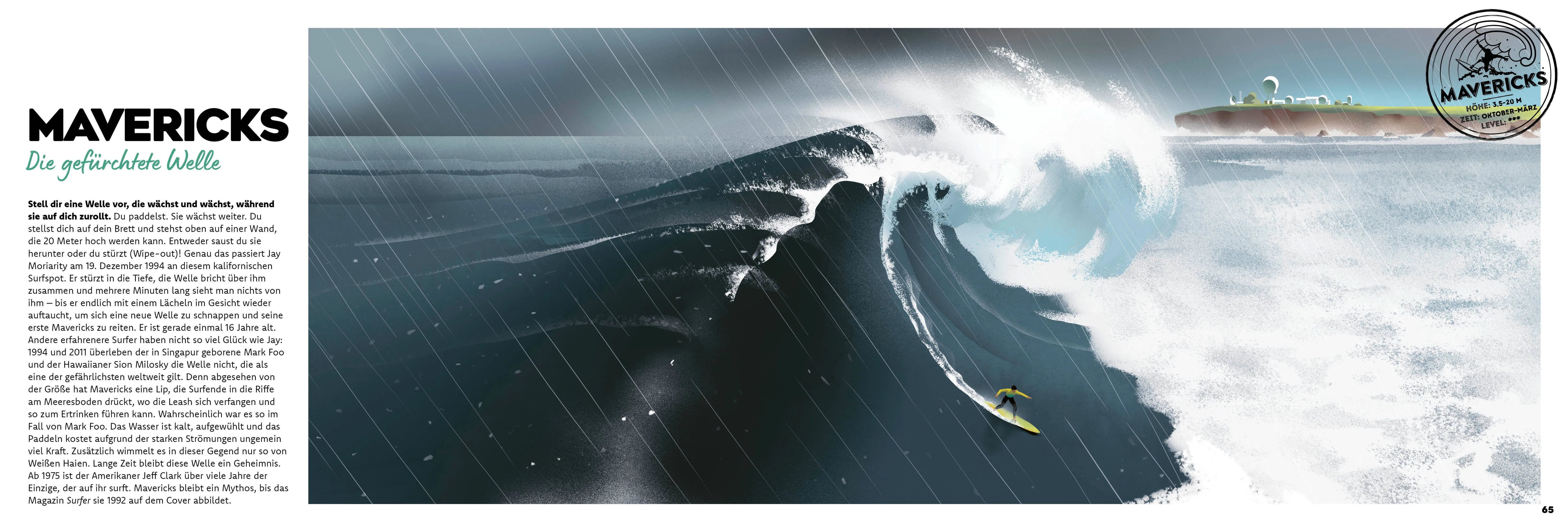 Detailansicht: Surfen (Hardcover)