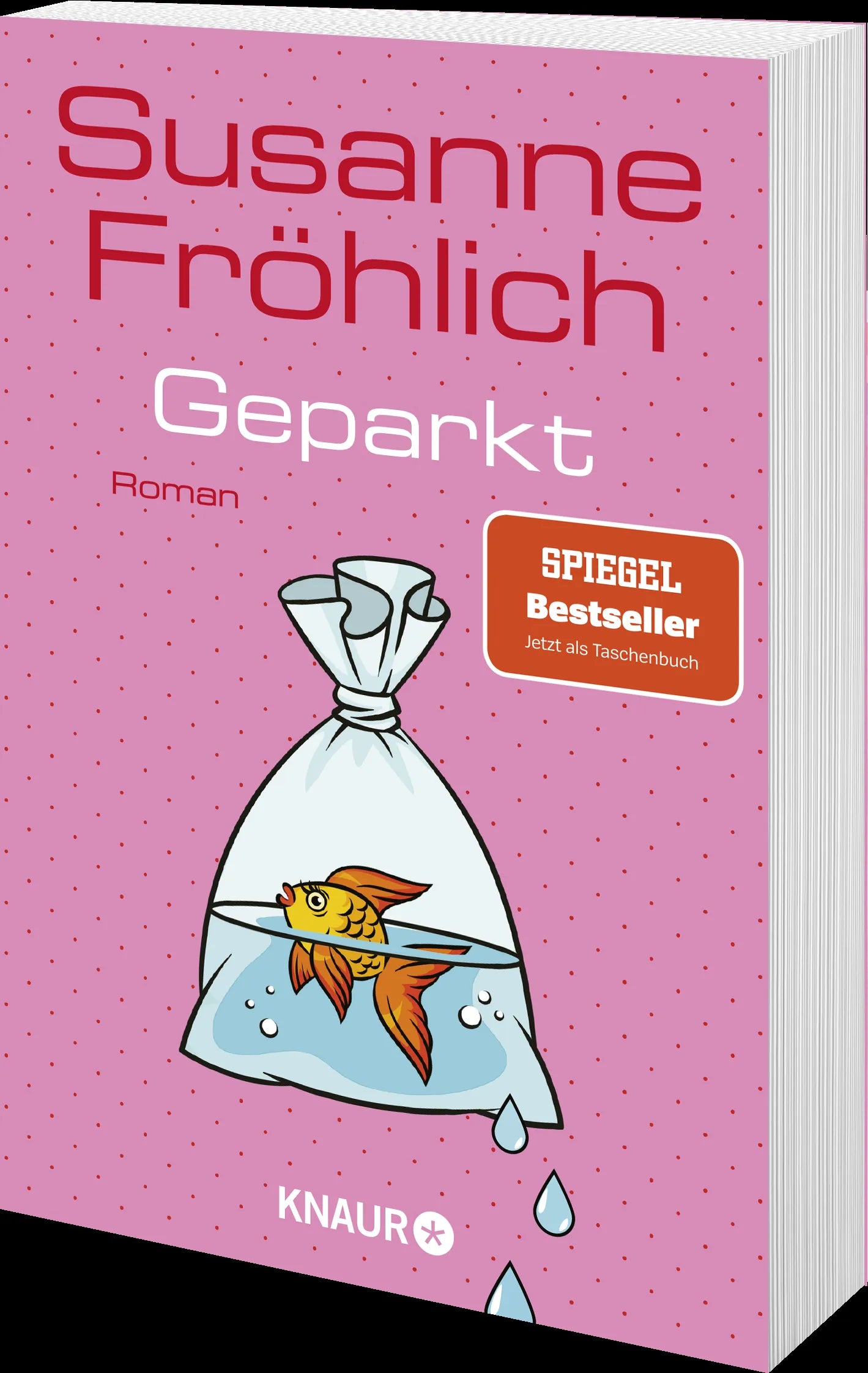 Produktansicht: Geparkt (Taschenbuch)
