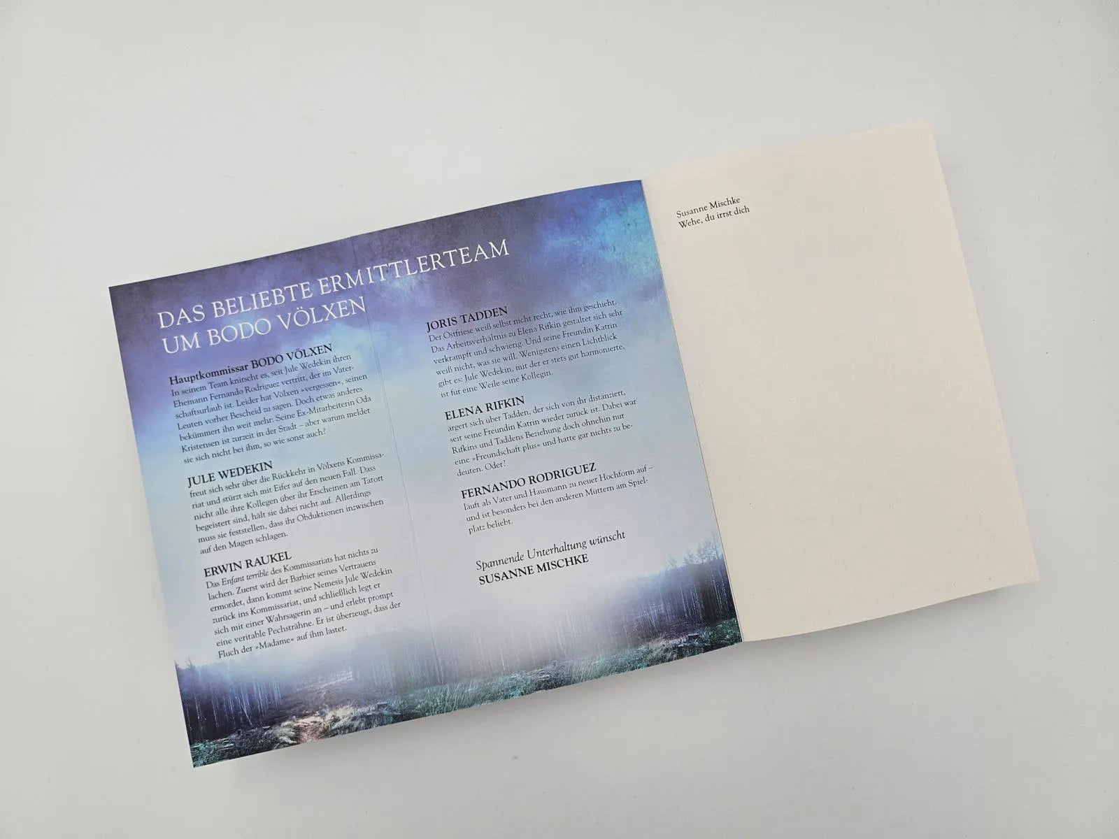 Produktansicht: Wehe, du irrst dich (Paperback)