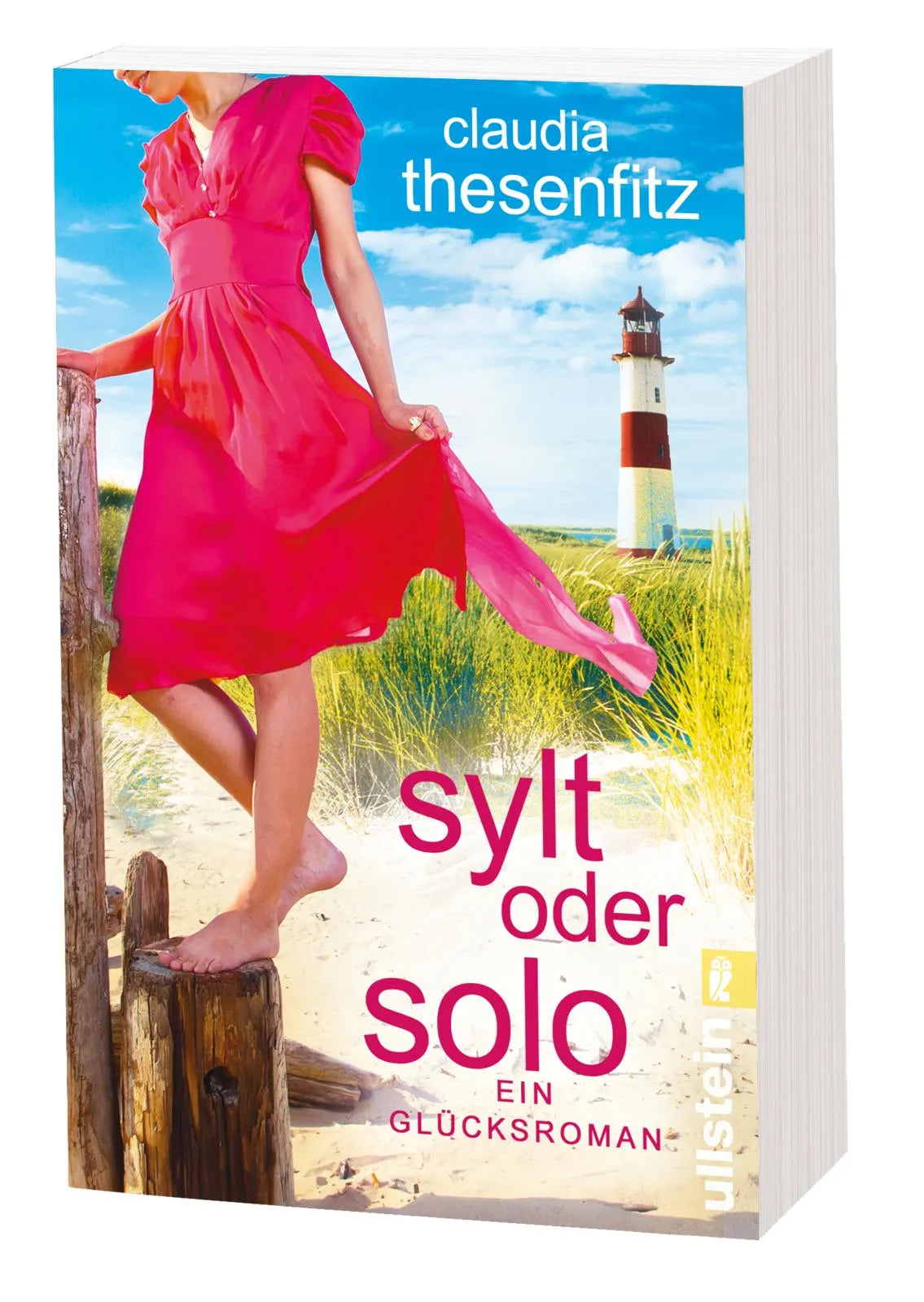 Produktansicht: Sylt oder solo (Taschenbuch)