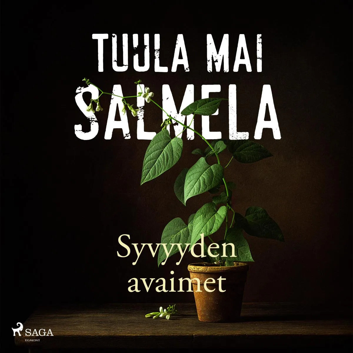 Cover: Syvyyden avaimet (Hörbuch Download) von Tuula Mai Salmela