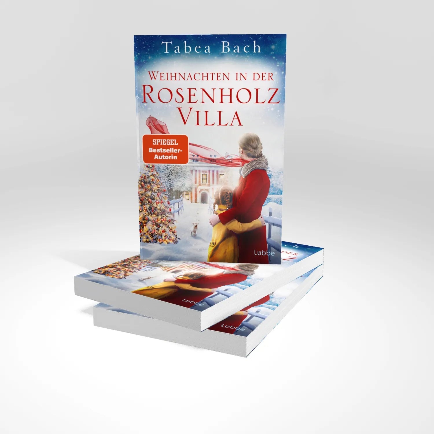 Produktansicht: Weihnachten in der Rosenholzvilla (Taschenbuch)