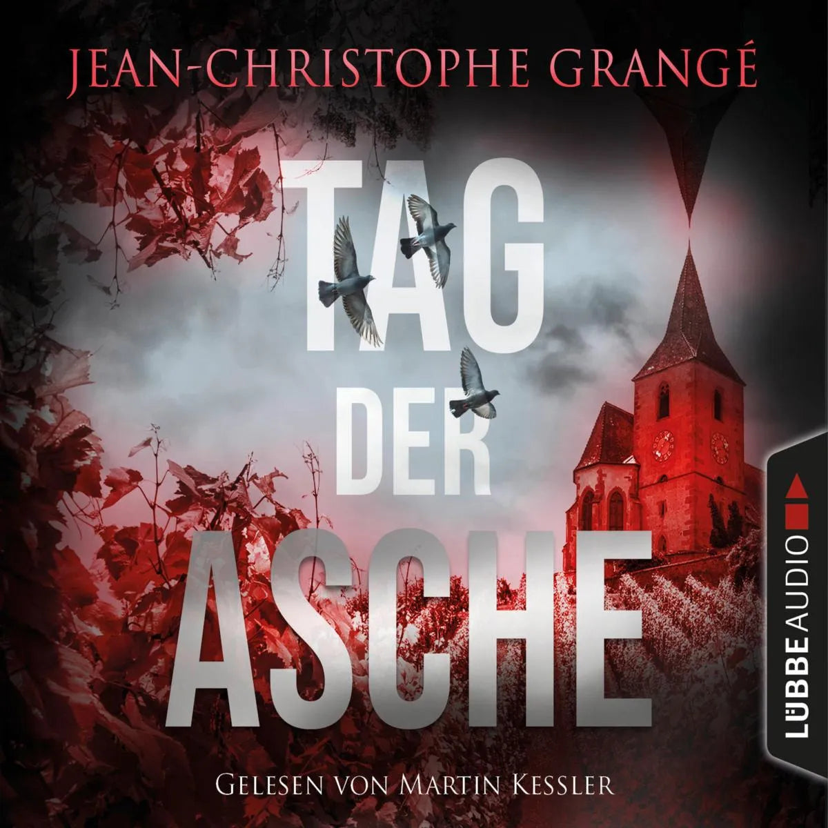 Cover: Tag der Asche (Hörbuch Download) von Jean-Christophe Grangé