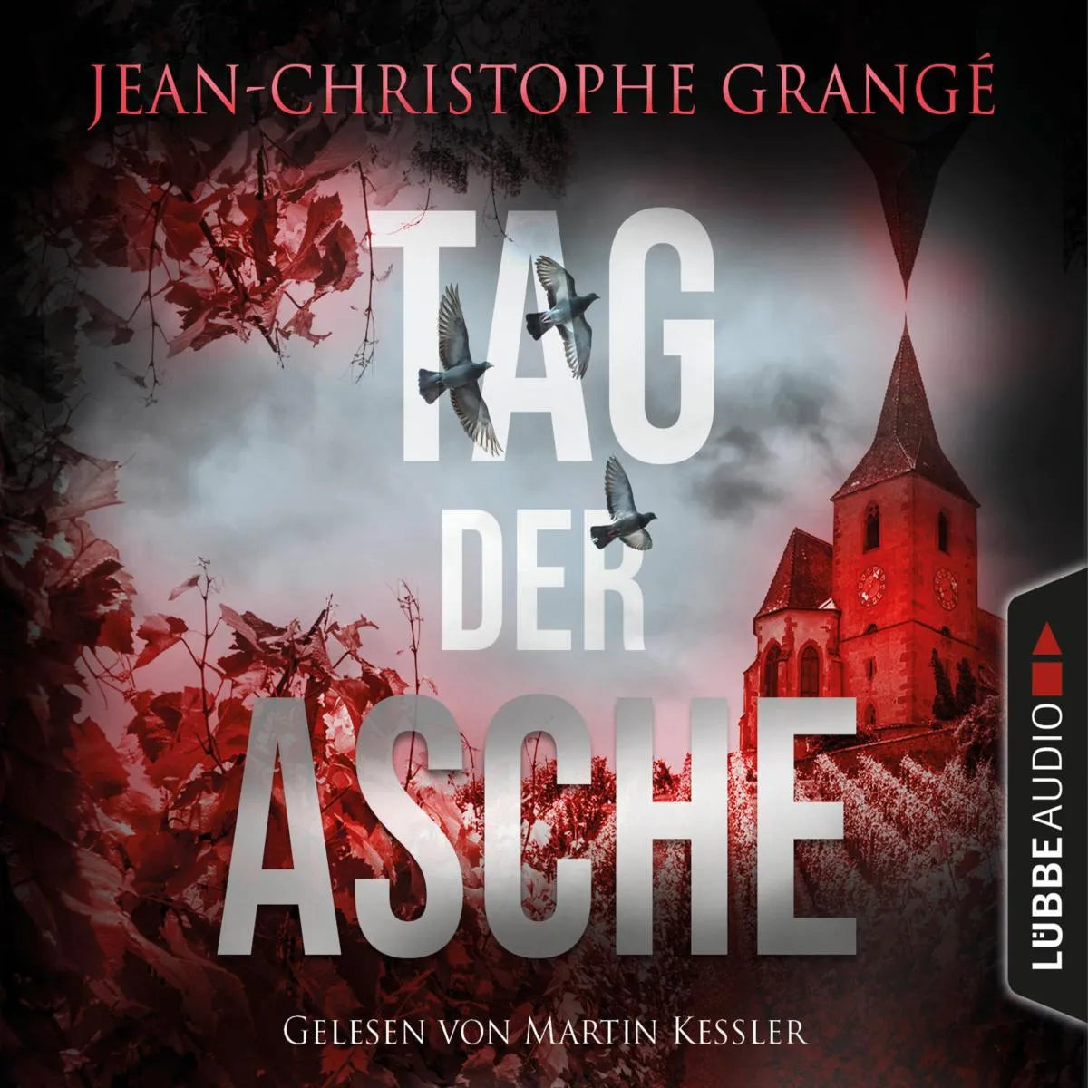 Cover: Tag der Asche (Hörbuch Download) von Jean-Christophe Grangé