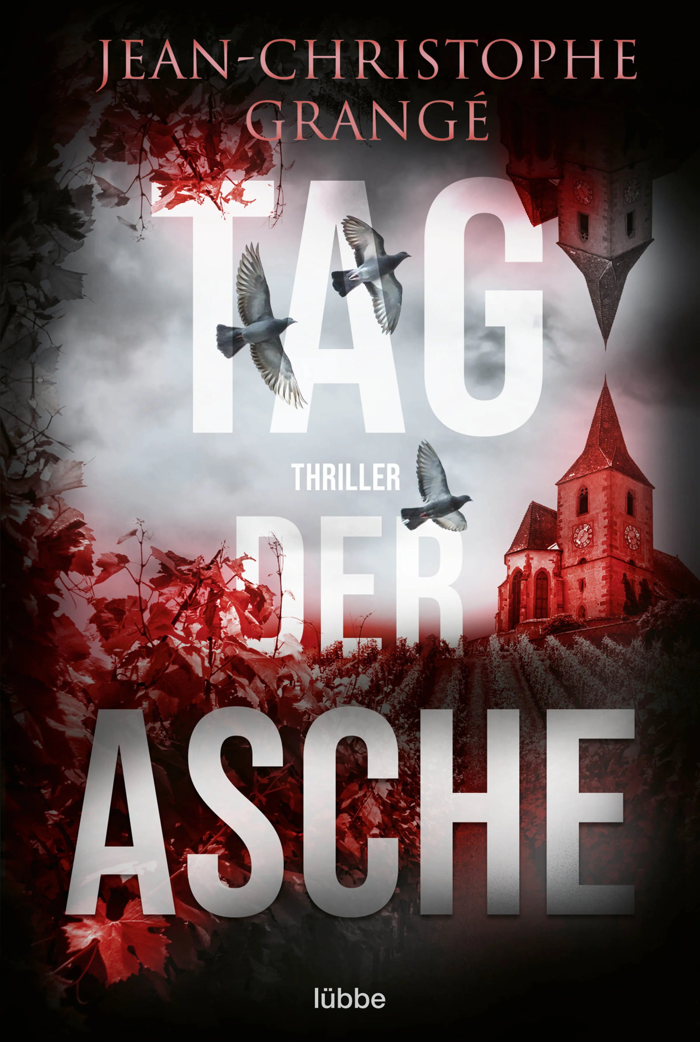 Buchcover von 'Tag der Asche' - Taschenbuch von Jean-Christophe Grangé