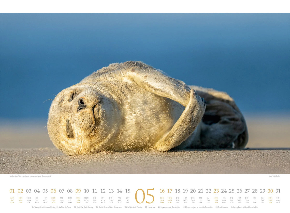Tage am Meer Kalender 2027 – Ansicht
