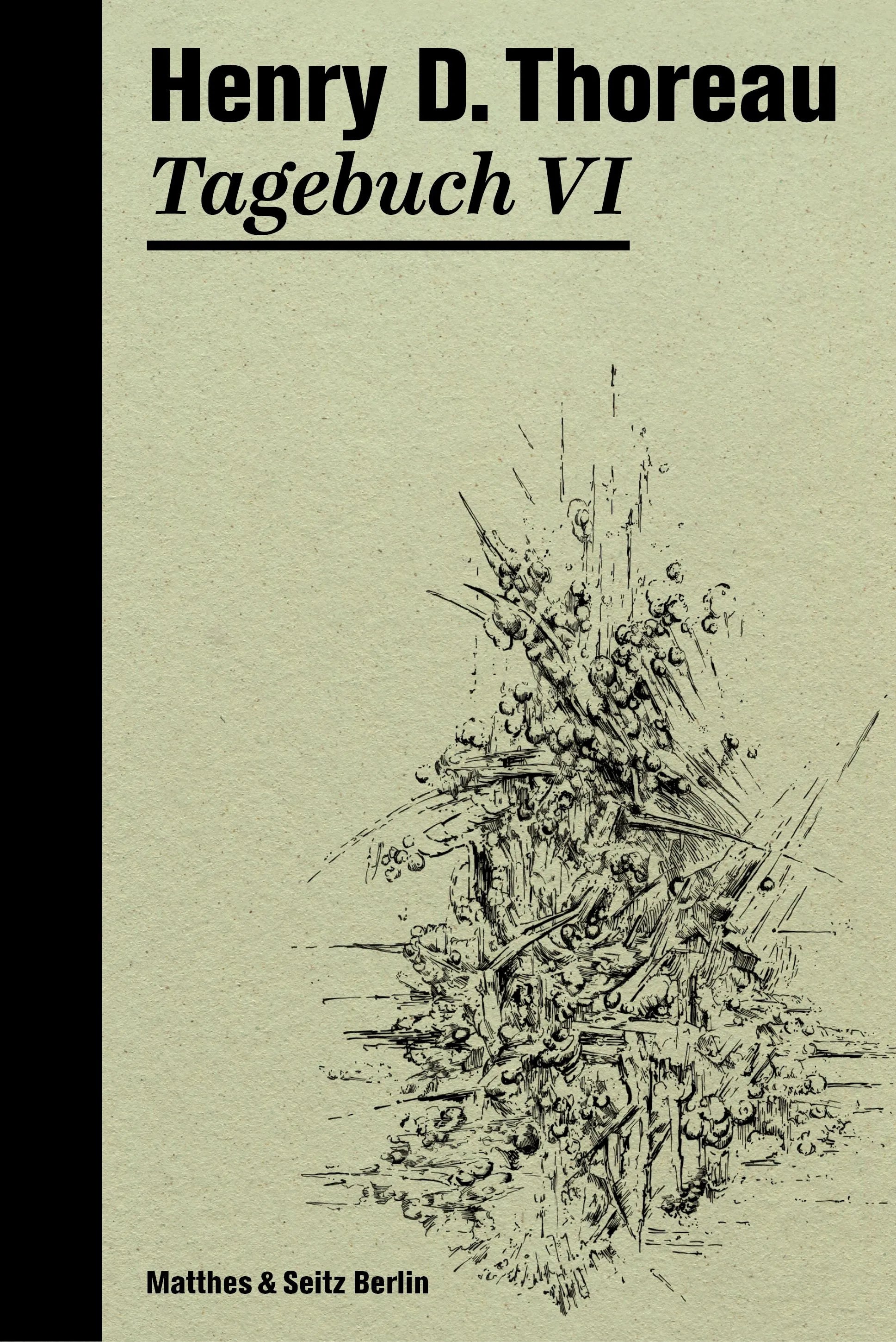 Cover: Tagebuch VI (E-Book) von Henry David Thoreau