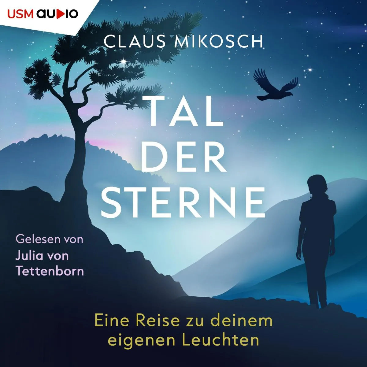 Cover: Tal der Sterne (Hörbuch Download) von Claus Mikosch