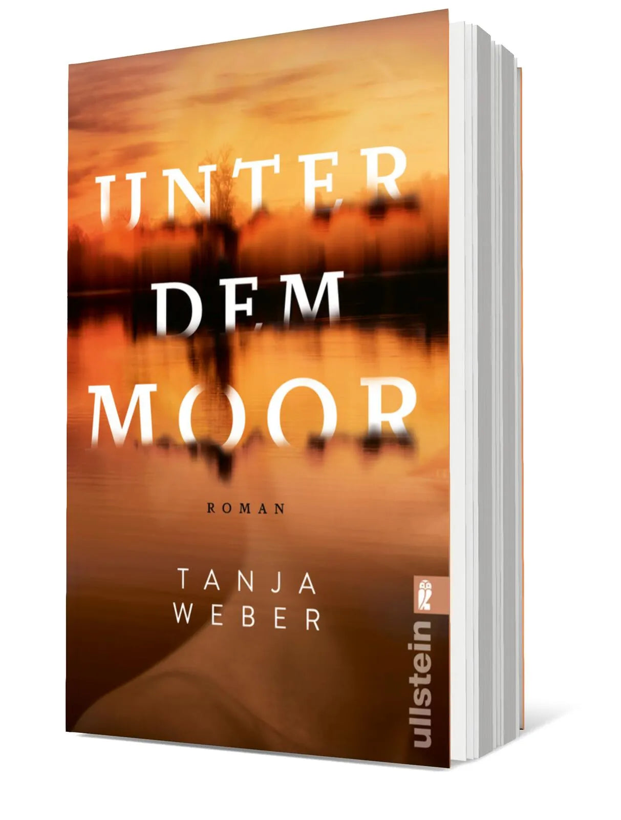 Produktansicht: Unter dem Moor (Taschenbuch)