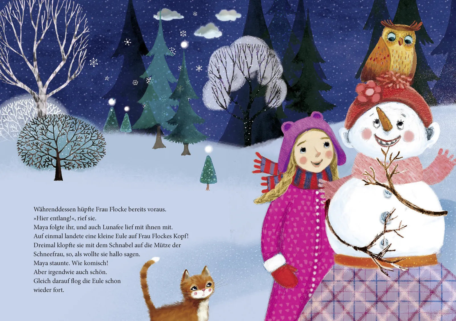 Produktansicht: Schneefunkelwunder (Gebundene Ausgabe)