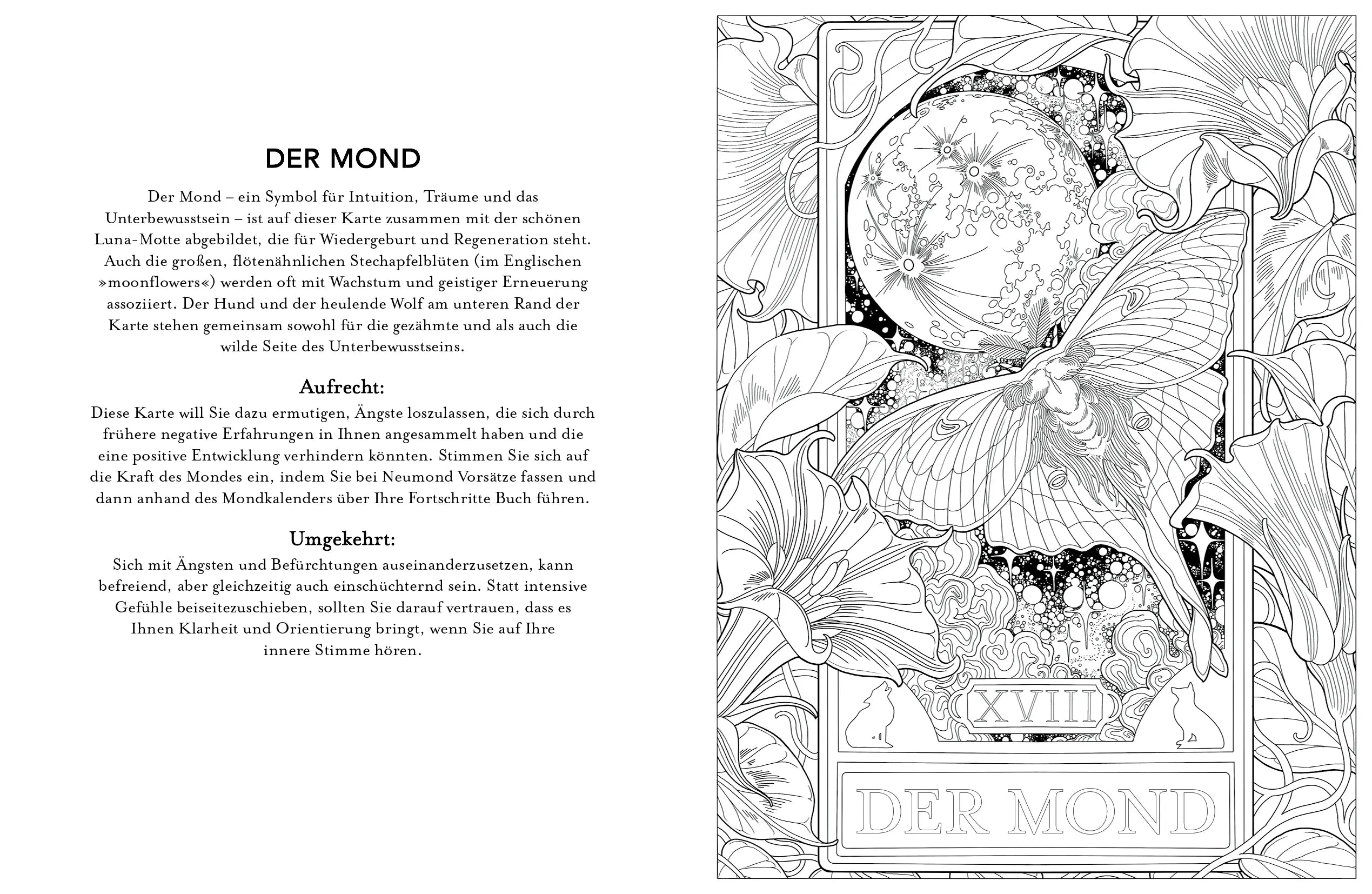 Innenansicht von 'Tarot-Malbuch' - Taschenbuch