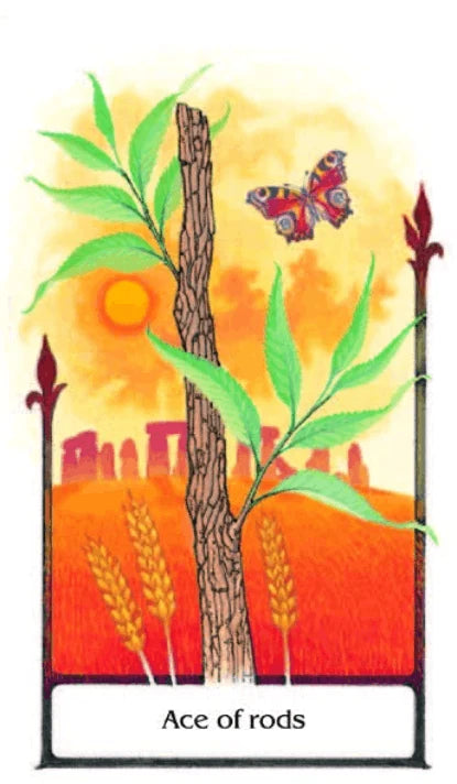 Tarot of the Old Path - 78 Cards and Booklet (English Edition - GB) – Ansicht