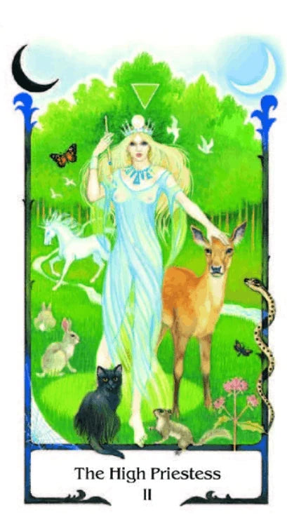 Tarot of the Old Path - 78 Cards and Booklet (English Edition - GB) – Ansicht