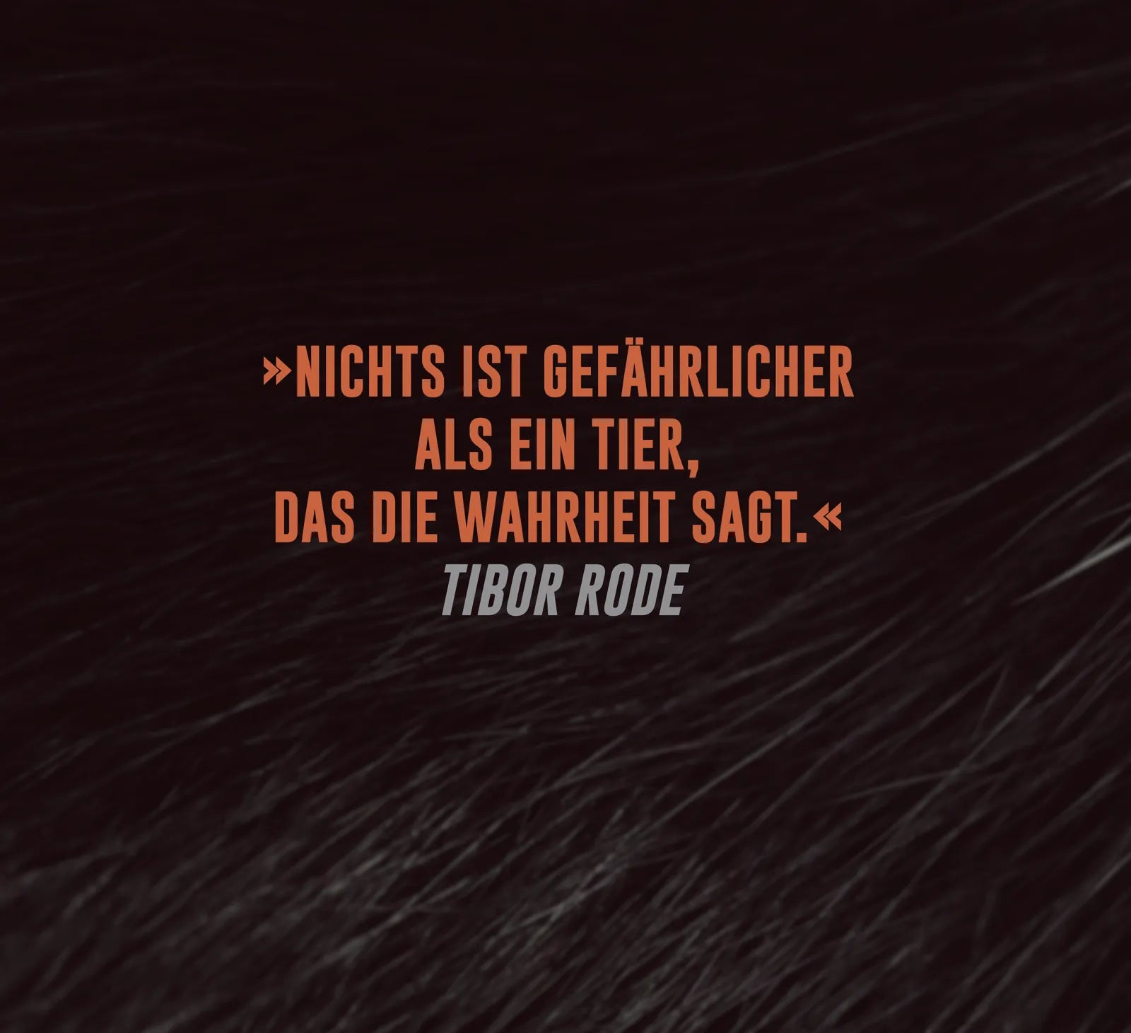 Abbildung von 'Animal'
