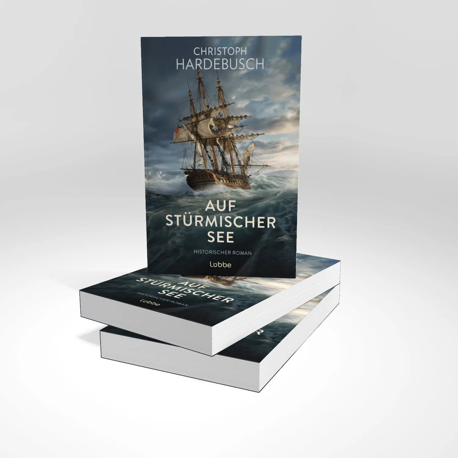 Abbildung von 'Auf stürmischer See'
