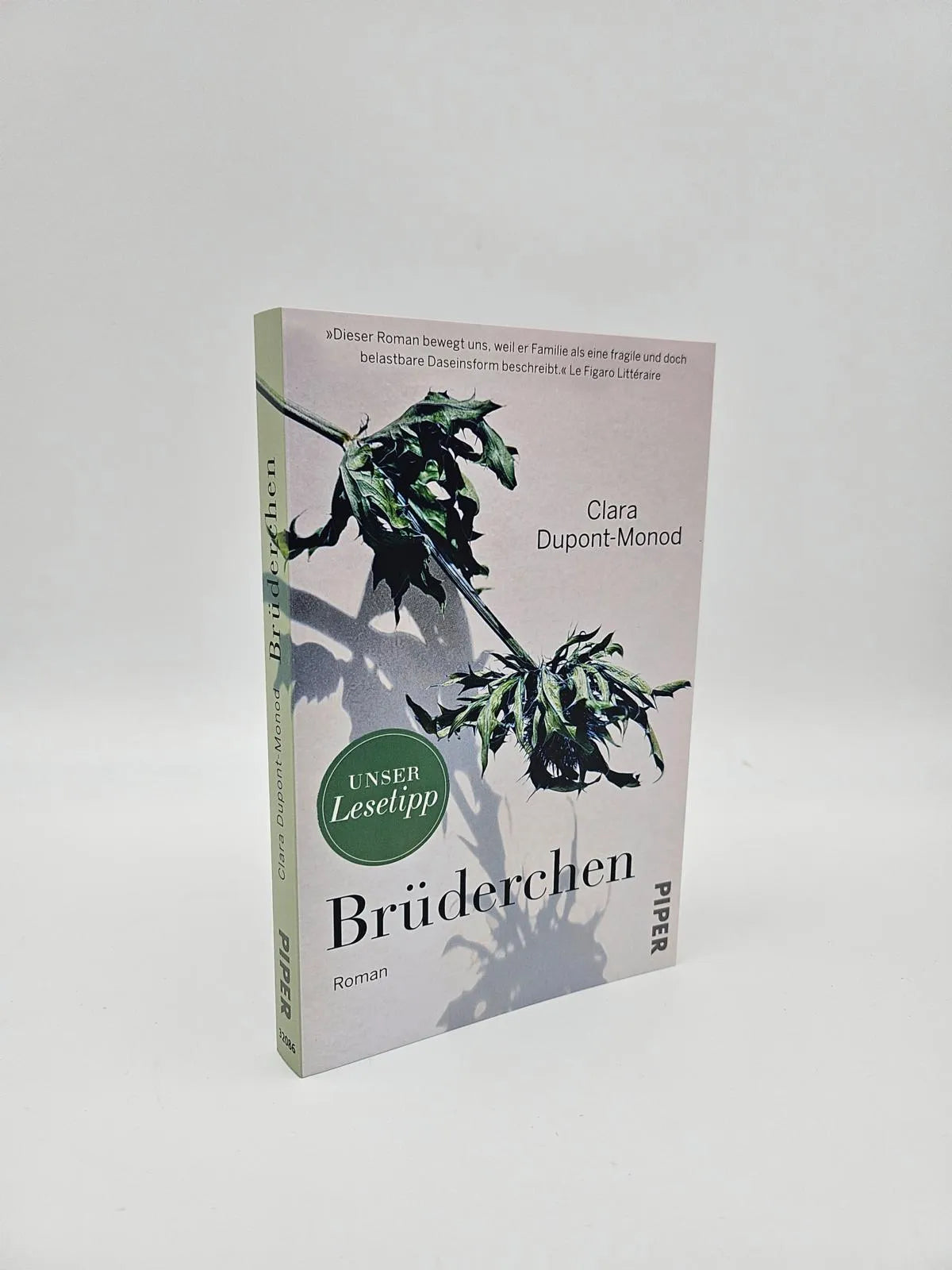 Abbildung von 'Brüderchen'