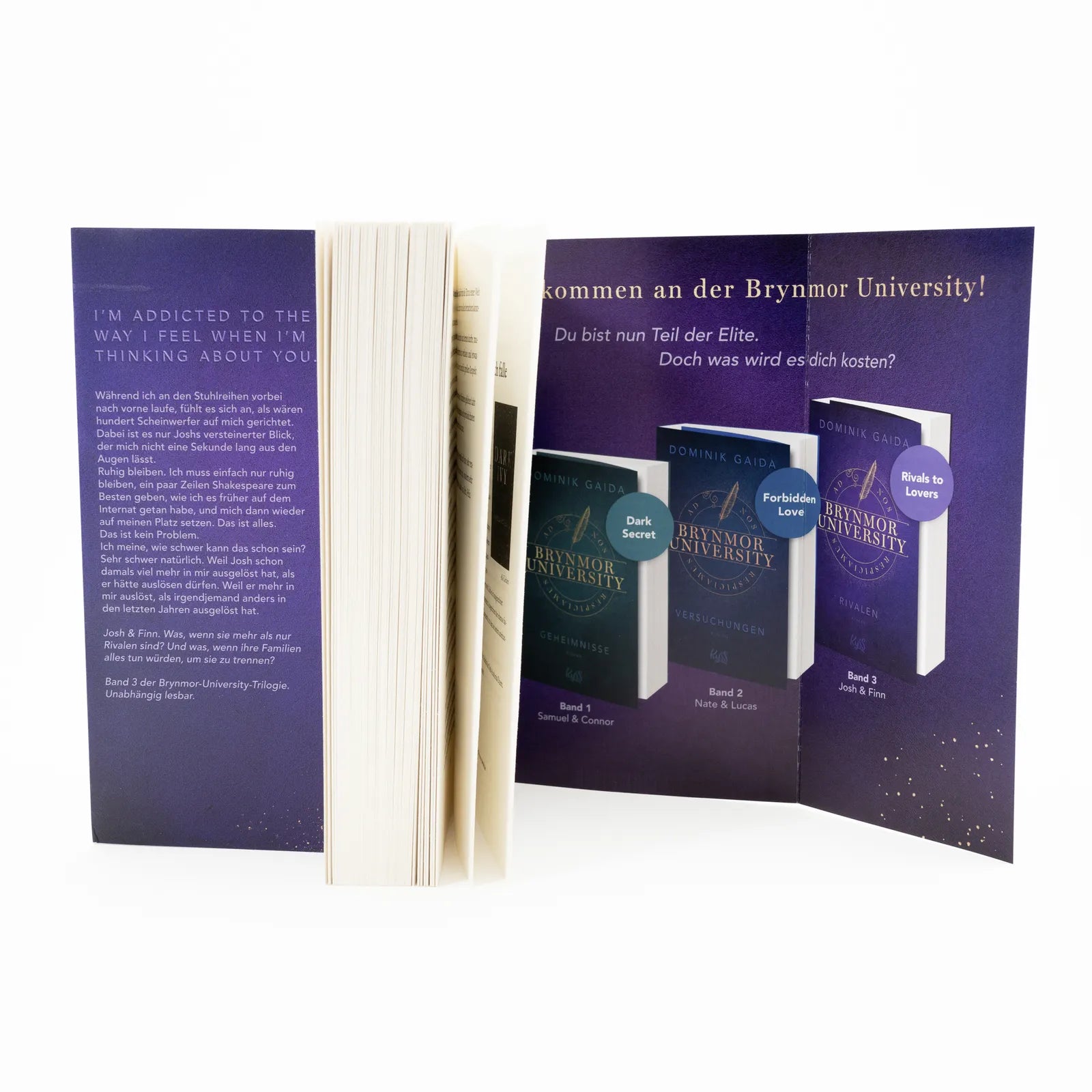 Abbildung von 'Brynmor University – Rivalen'