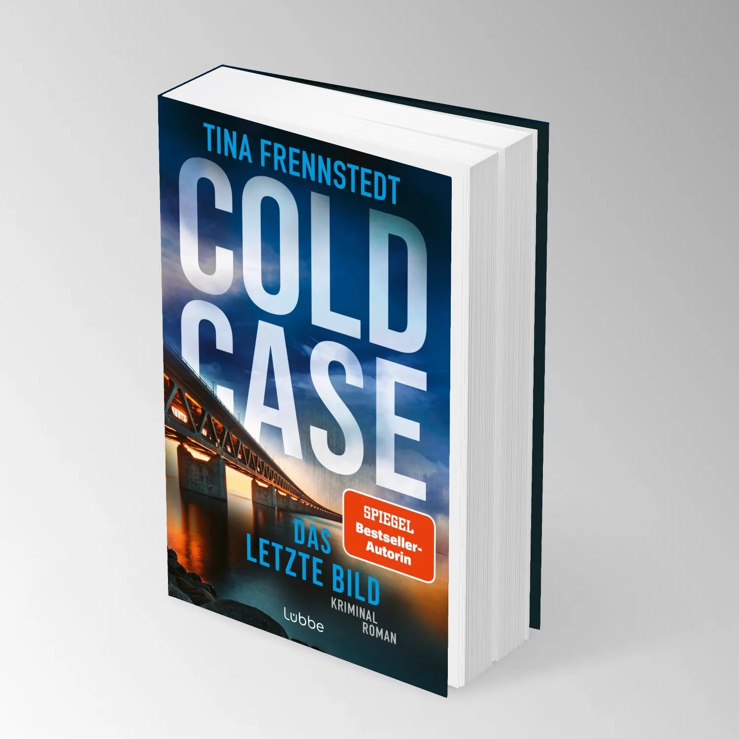 Abbildung von 'COLD CASE - Das letzte Bild'