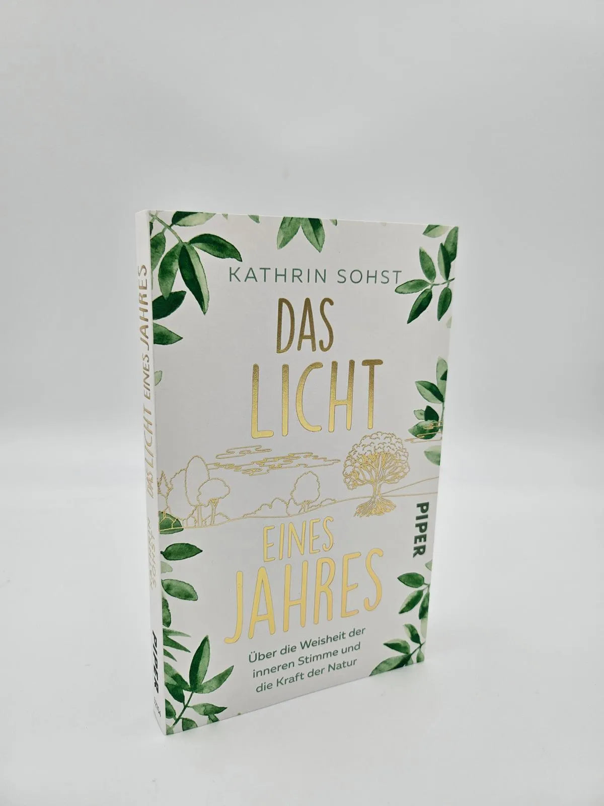 Abbildung von 'Das Licht eines Jahres'