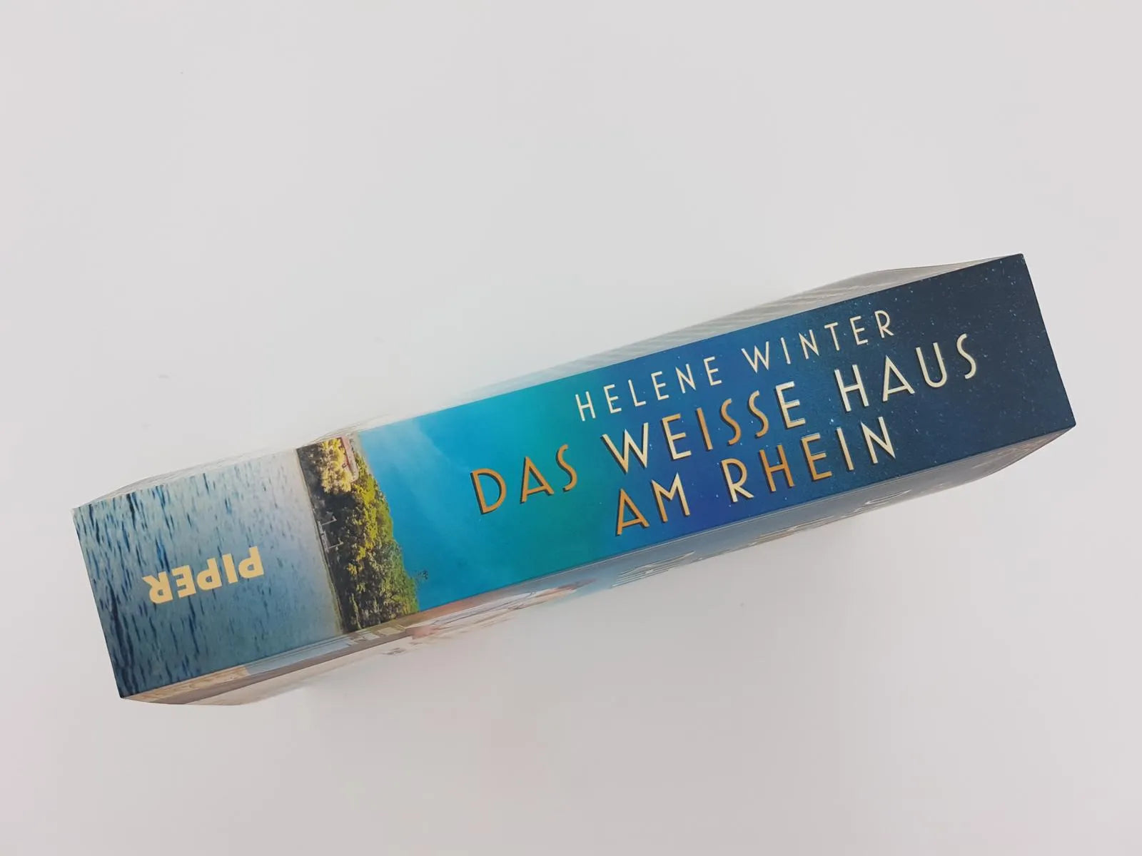 Abbildung von 'Das Weiße Haus am Rhein'