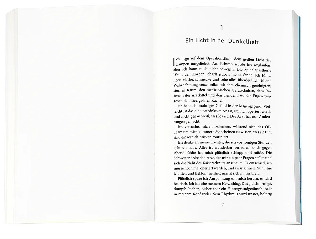 Abbildung von 'Der Gesang des Eises'