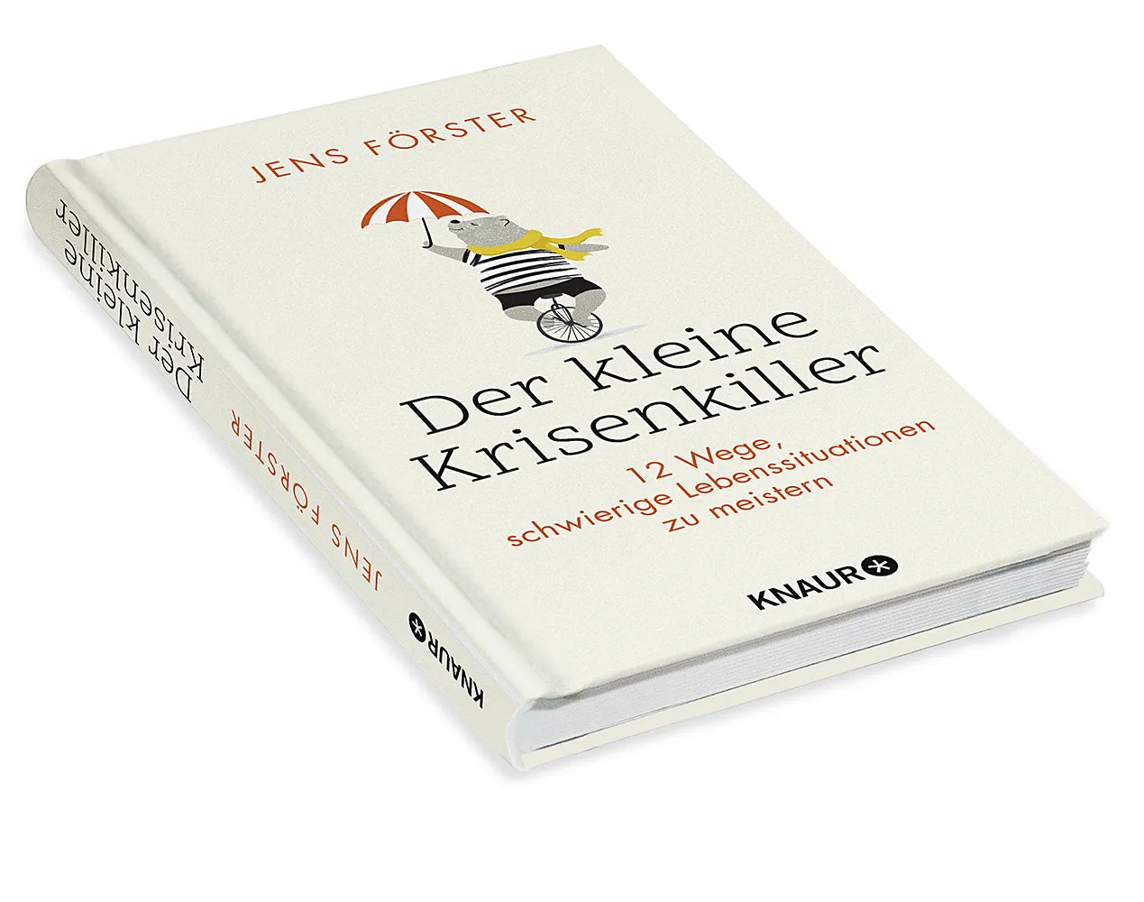 Abbildung von 'Der kleine Krisenkiller'