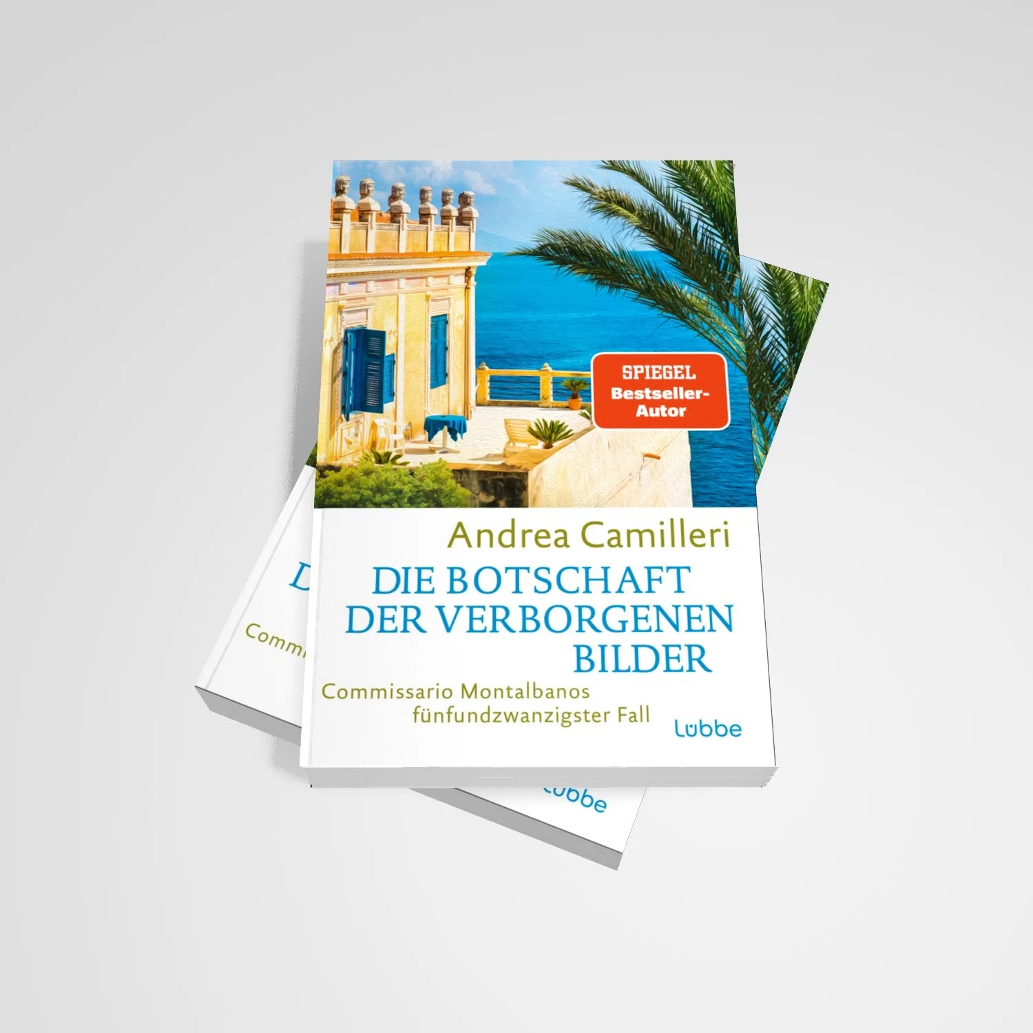 Abbildung von 'Die Botschaft der verborgenen Bilder'
