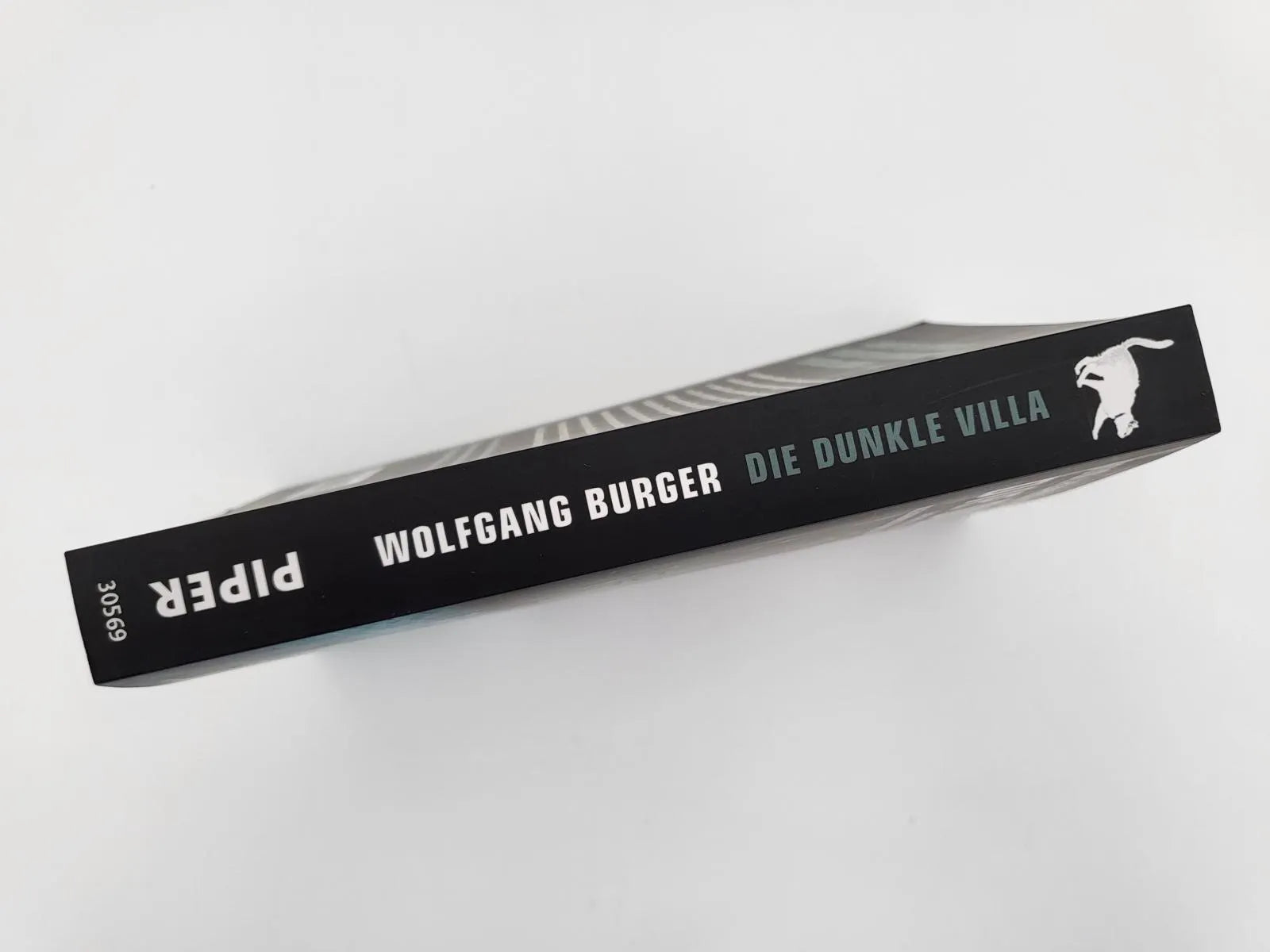 Abbildung von 'Die dunkle Villa'