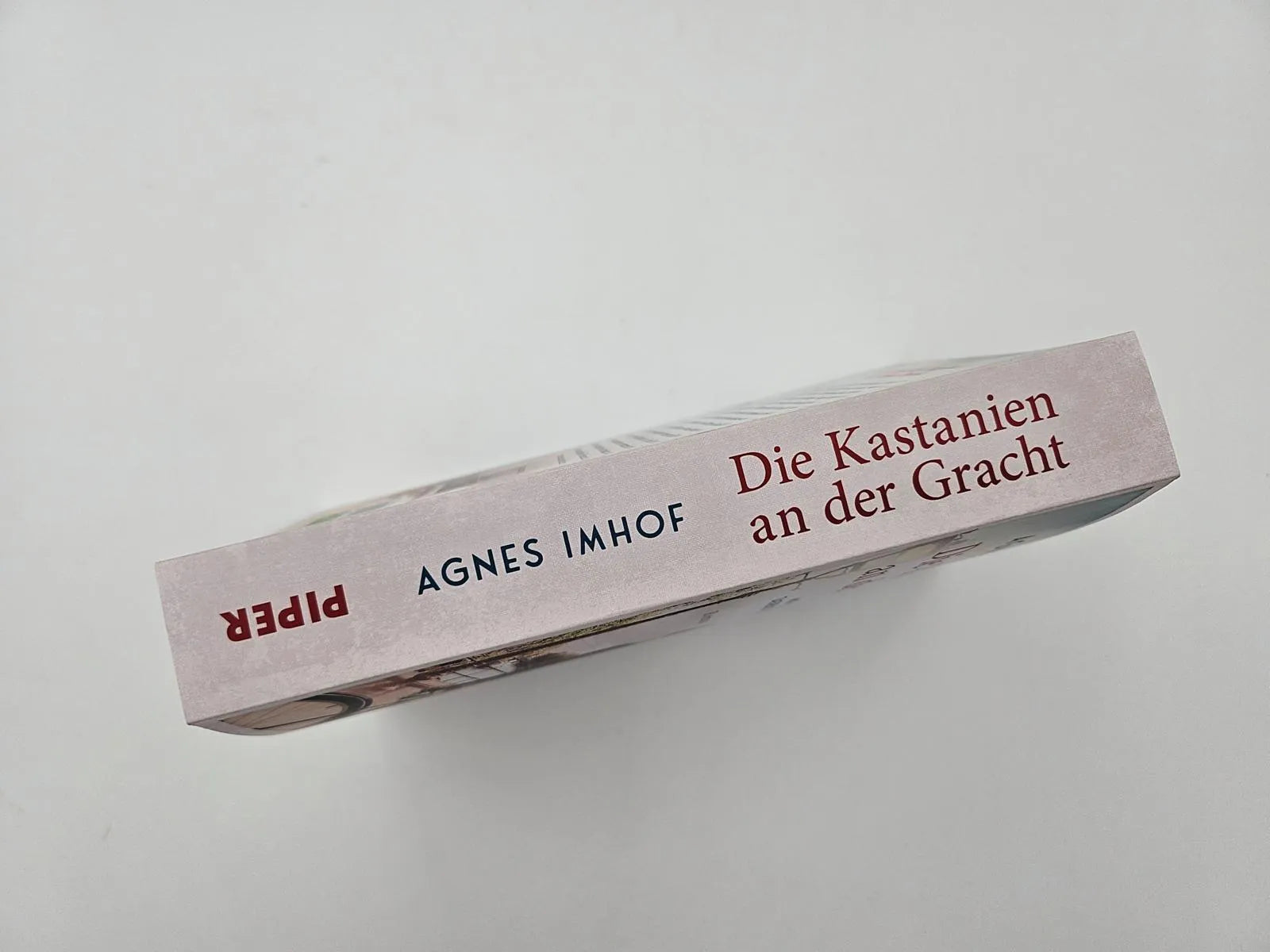 Abbildung von 'Die Kastanien an der Gracht – Miep Gies und das Tagebuch der Anne Frank'