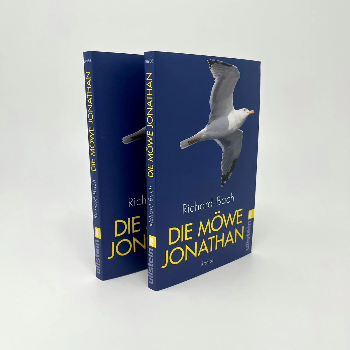 Abbildung von 'Die Möwe Jonathan'