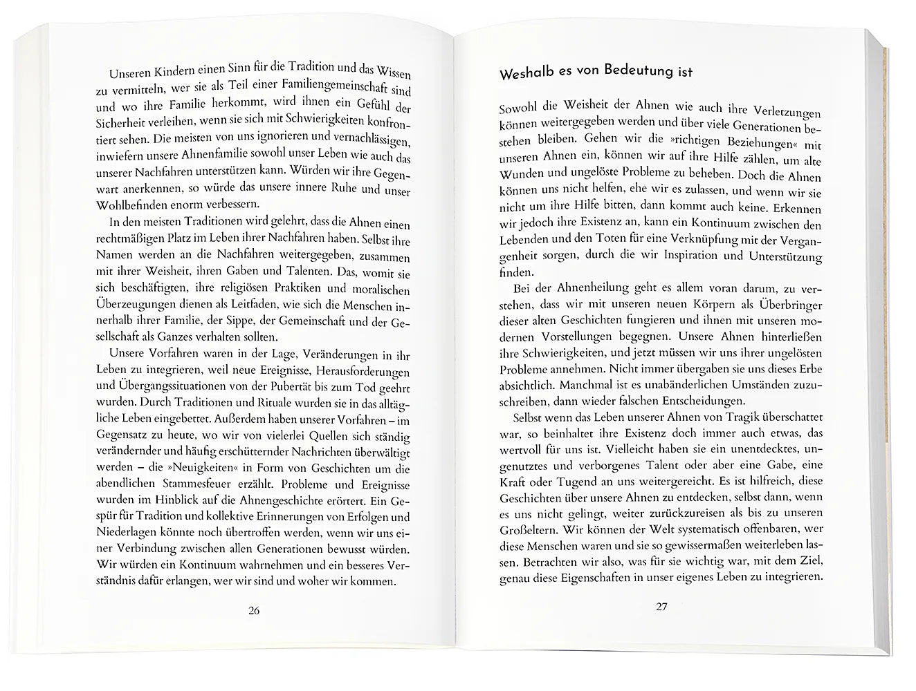 Abbildung von 'Die prägende Kraft unserer Ahnen'