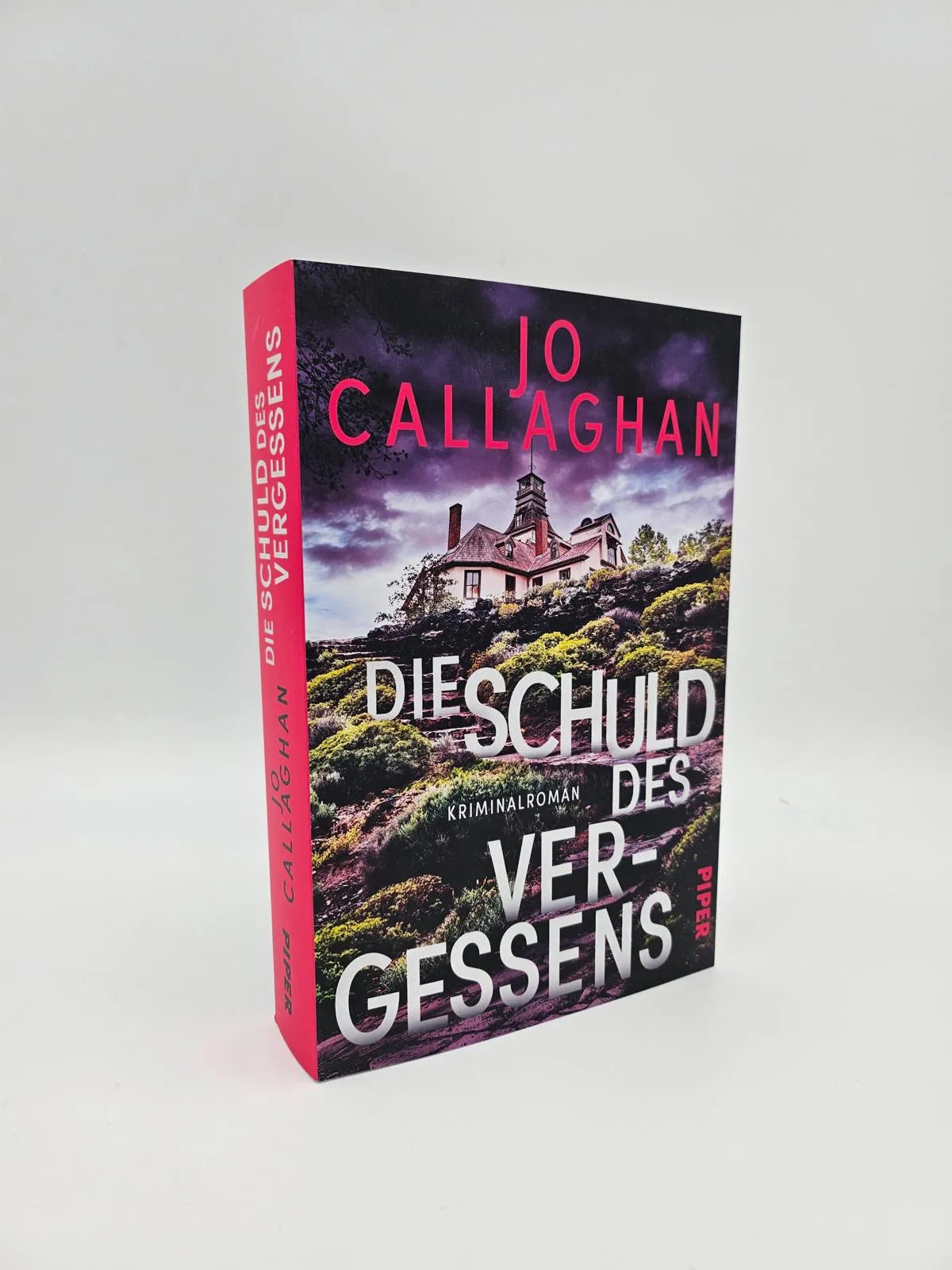 Abbildung von 'Die Schuld des Vergessens'