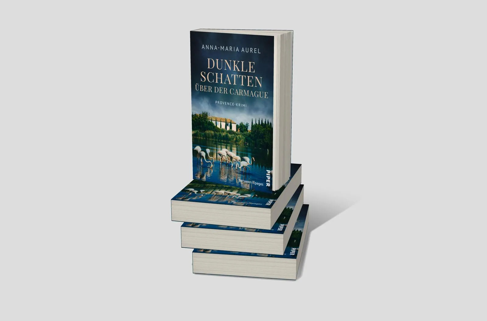 Abbildung von 'Dunkle Schatten über der Camargue'