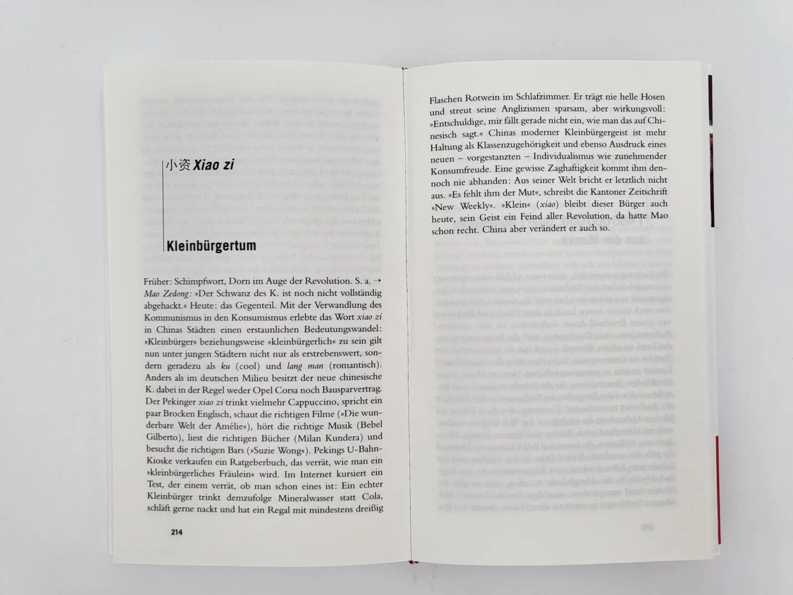 Abbildung von 'Gebrauchsanweisung für China'