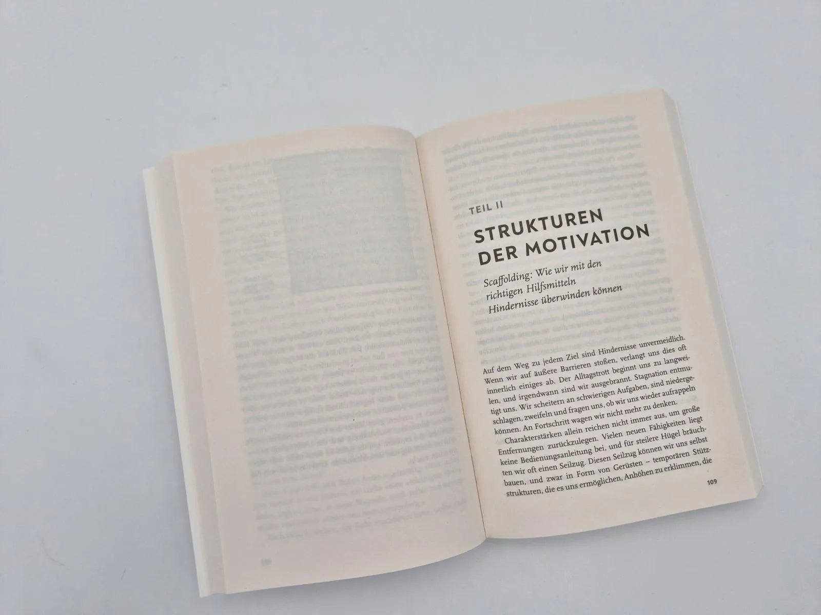 Abbildung von 'Hidden Potential – Die Wissenschaft des Erfolgs'