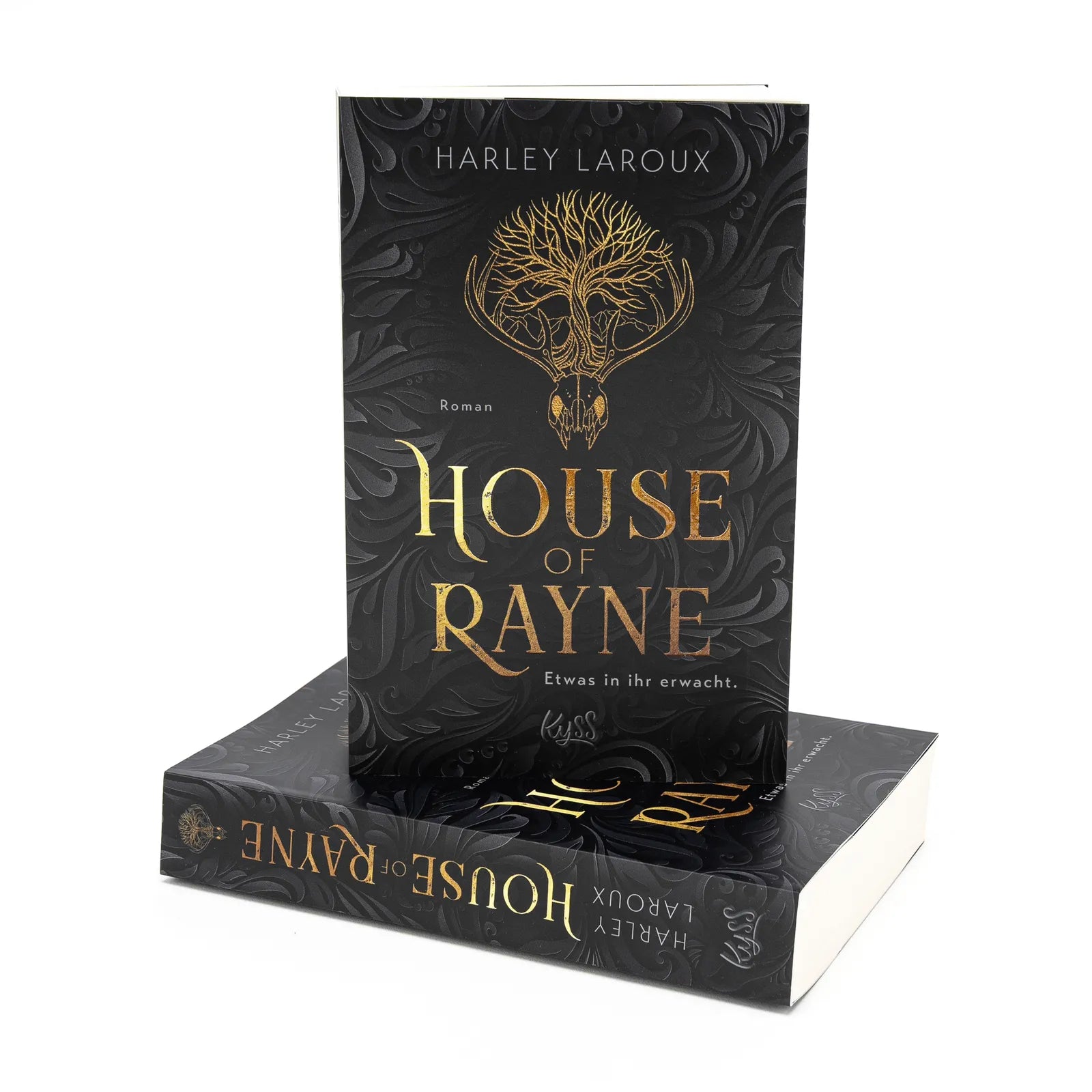 Abbildung von 'House of Rayne'