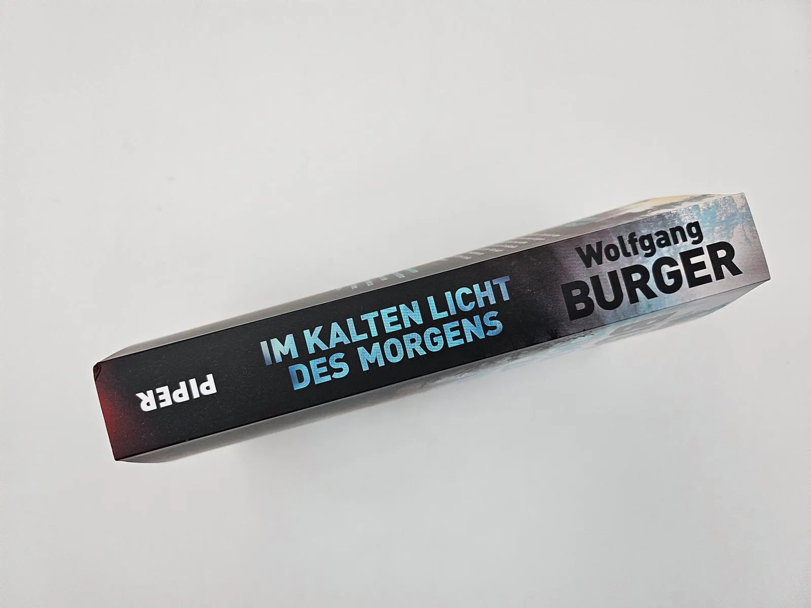 Abbildung von 'Im kalten Licht des Morgens'