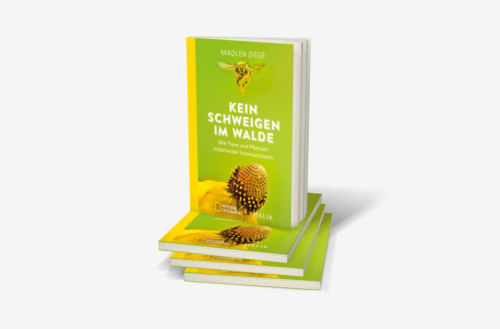Abbildung von 'Kein Schweigen im Walde'
