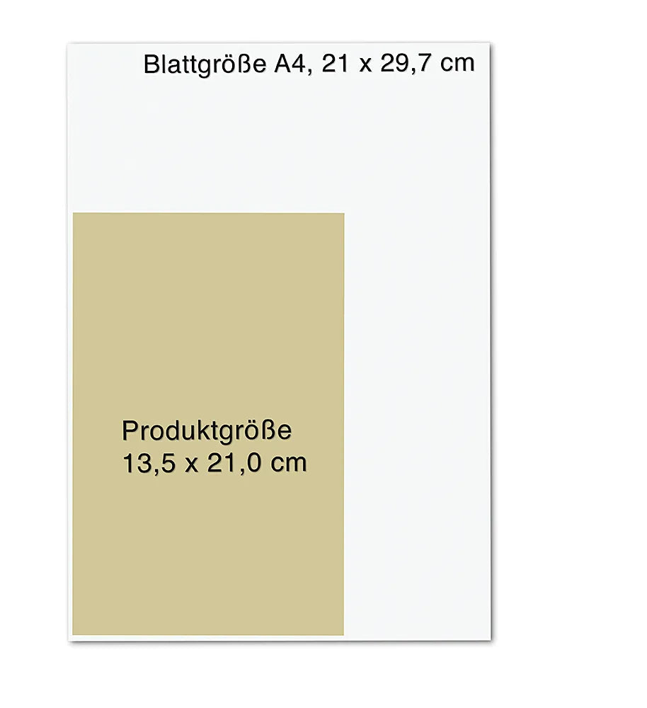 Abbildung von 'Moorläufer. Im Reich des letzten Drachen'