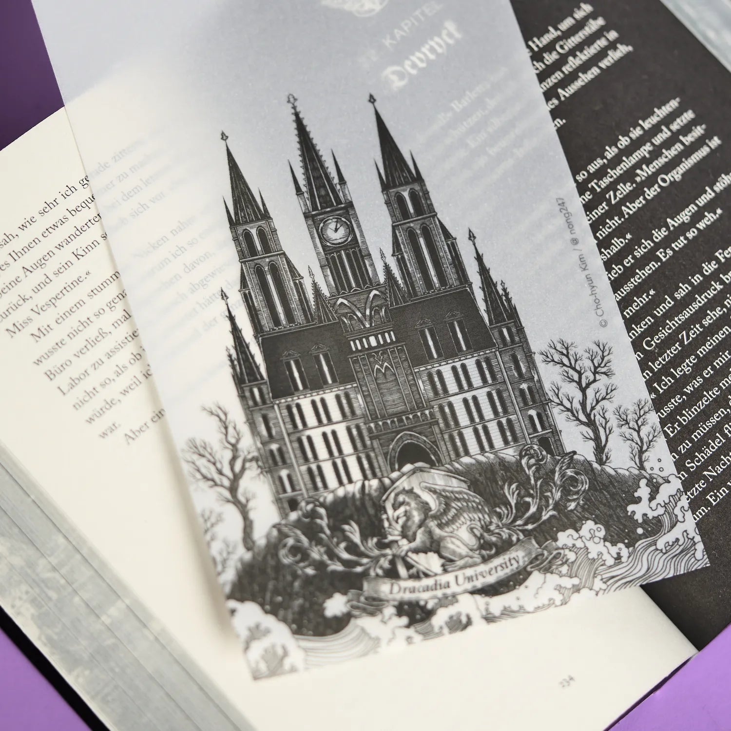 Abbildung von 'Nocticadia'