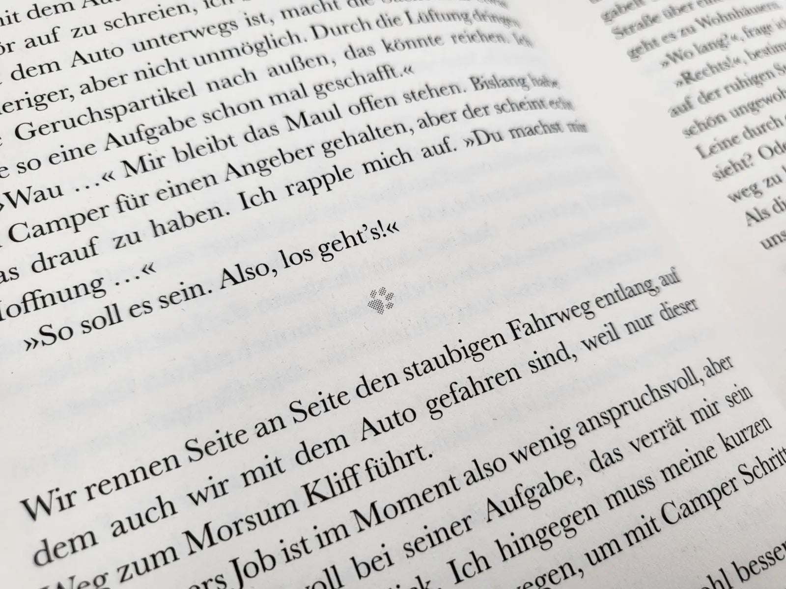 Abbildung von 'Pfotenglück – Dackel Max sucht seine große Liebe'