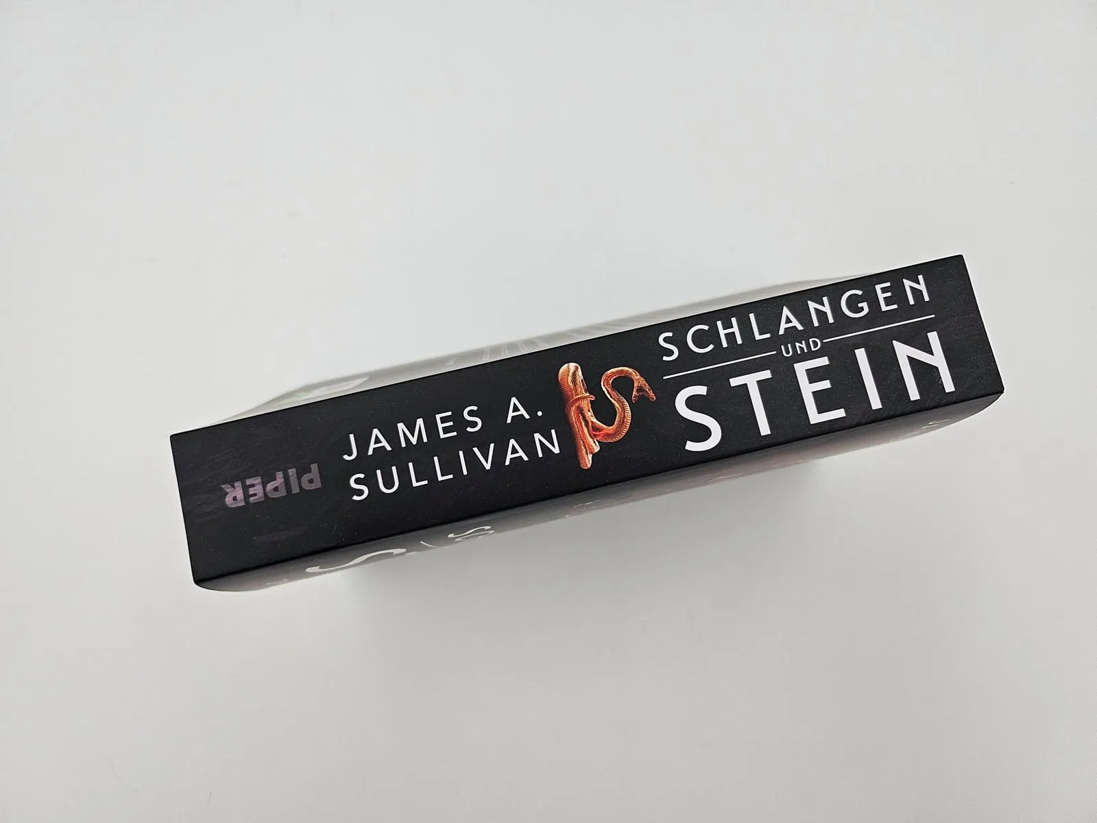 Abbildung von 'Schlangen und Stein'