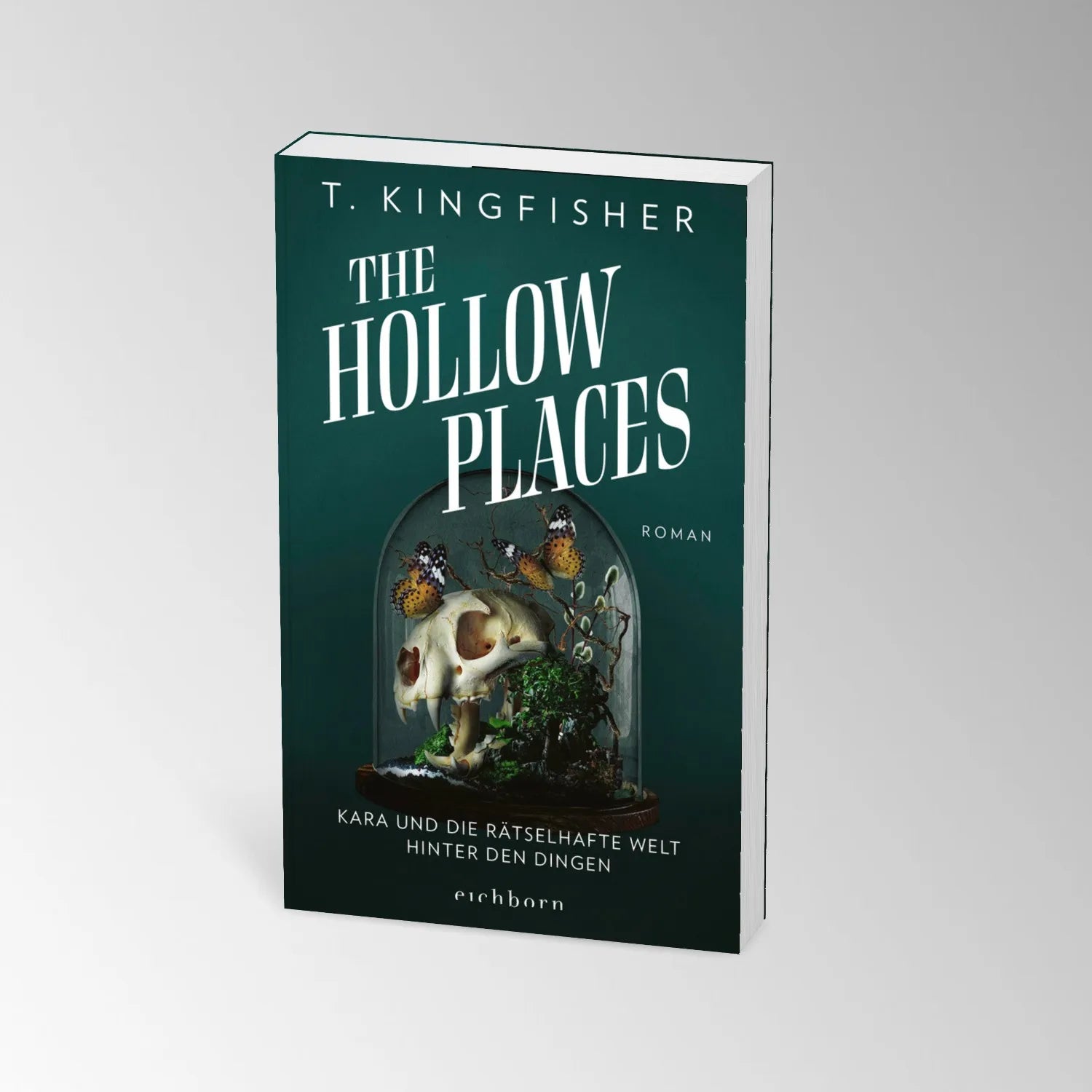 Abbildung von 'The Hollow Places'
